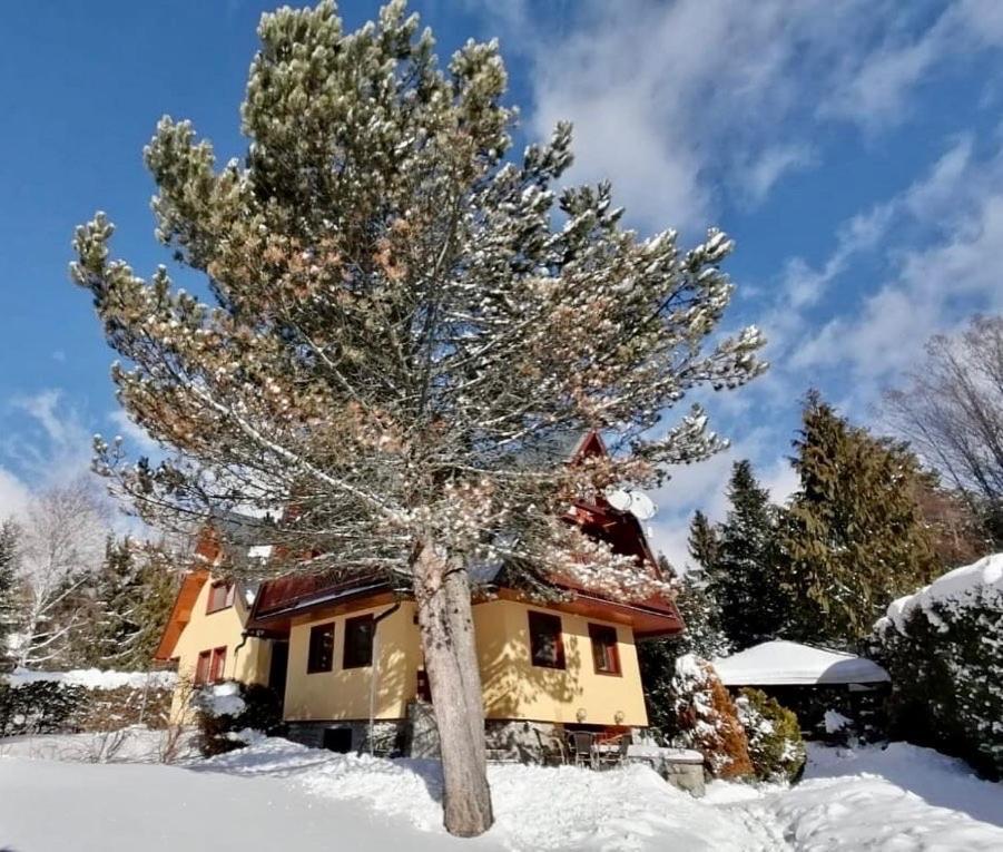 Chata Pod Gerlachom Štôla Dış mekan fotoğraf
